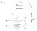 Fig. 01 - Radio frequency identification sensor assembly