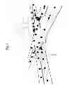 Fig. 10 - VEHICLE PROXYING