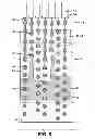 Fig. 09 - Continuous inkjet printing system and method for producing selective deflection of droplets formed from two different break off lengths