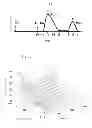 Fig. 08 - Automatic left ventricular function evaluation