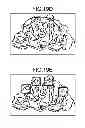 Fig. 19 - Image capturing device and image capturing method