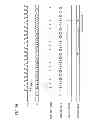 Fig. 30 - Distance measuring system