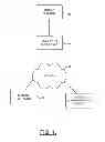 Fig. 02 - Method for multipath scheduling based on a lookup table