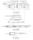 Fig. 02 - Apparatus and method for generating ARQ feedback message in wireless communication system