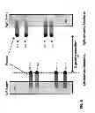 Fig. 09 - Liquid handler with dual pipetting groups