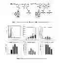 Fig. 02 - Protein transduction domains mimics