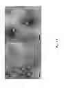 Fig. 09 - Polypeptides and their use in treating and limiting respiratory syncytial virus infection
