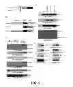 Fig. 07 - Manipulation of HSP70 and IRE1Alpha Protein Interactions