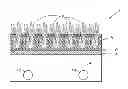 Fig. 01 - SYNTHETIC TURF RECYCLING AND RECLAMATION SYSTEM AND METHOD