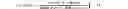 Fig. 02 - Photosensitive, developer-soluble bottom anti-reflective coating material