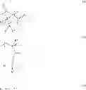Fig. 02 - Photoresist composition and resist pattern-forming method