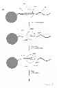 Fig. 02 - Alternative nucleotide flows in sequencing-by-synthesis methods