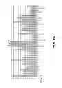 Fig. 04 - Rapid serotyping assay