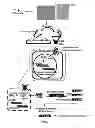 Fig. 02 - METHOD FOR IDENTIFYING OLFACTORY RECEPTOR INCLUDED IN ONE OLFACTORY CELL