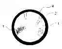 Fig. 01 - Contact release capsule useful for chemical mechanical planarization slurry