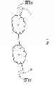 Fig. 02 - Method of communication of the geographic position of a mobile terminal and mobile terminal thereof