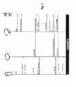 Fig. 06 - Method of communication of the geographic position of a mobile terminal and mobile terminal thereof