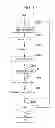 Fig. 08 - WIRELESS COMMUNICATION APPARATUS, WIRELESS COMMUNICATION SYSTEM, WIRELESS COMMUNICATION METHOD, AND COMPUTER-READABLE RECORDING MEDIUM