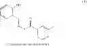 Fig. 102 - Use of metal hydrazide complex compounds as oxidation catalysts