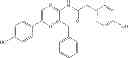 Fig. 22 - Di-O-methylcoelenteramide and analogs thereof for production of coelenteramide and analogs thereof