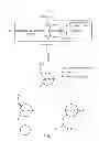 Fig. 02 - iRNA agents with biocleavable tethers