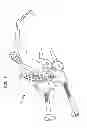 Fig. 03 - Methods and devices for ligament repair