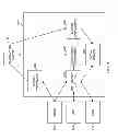 Fig. 09 - System and method for streaming media