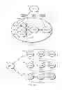 Fig. 08 - Principal-identity-domain based naming scheme for information centric networks