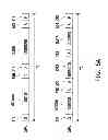 Fig. 06 - DATA TRANSFERRING APPARATUS AND METHOD FOR INTER-INTEGRATED CIRCUIT INTERFACE