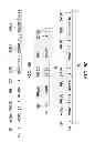 Fig. 07 - DATA TRANSFERRING APPARATUS AND METHOD FOR INTER-INTEGRATED CIRCUIT INTERFACE
