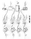 Fig. 10 - Universal interface for one or more sensors