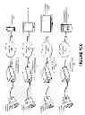 Fig. 32 - Universal interface for one or more sensors