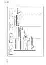 Fig. 19 - STORAGE SYSTEM AND STORAGE VIRTUALIZATION METHOD