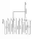 Fig. 37 - Storage system providing virtual volumes