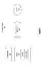 Fig. 02 - Anticipatory response pre-caching