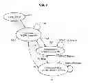 Fig. 13 - Method and system for improving serial port memory communication latency and reliability