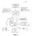 Fig. 02 - Dynamic webpage image