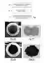 Fig. 02 - Colorant dispersion for an ink