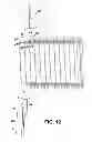 Fig. 10 - Flexible and extendable spiral wound hose and method therefor