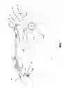 Fig. 02 - Park lock for narrow transmission