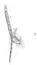 Fig. 07 - Partially-inflated rigid-structure glider