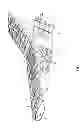 Fig. 08 - Partially-inflated rigid-structure glider