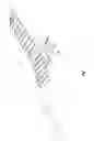 Fig. 09 - Partially-inflated rigid-structure glider