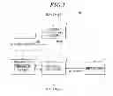 Fig. 02 - Image processing apparatus and image processing method to perform screen process on image data of a plurality of colors using threshold matrix for each color