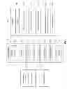 Fig. 02 - SYSTEMS AND METHODS FOR SELECTION AND DISPLAY OF MULTIPLEXED IMAGES OF BIOLOGICAL TISSUE