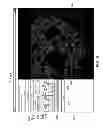 Fig. 09 - SYSTEMS AND METHODS FOR SELECTION AND DISPLAY OF MULTIPLEXED IMAGES OF BIOLOGICAL TISSUE