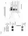 Fig. 05 - Method and apparatus for dynamic load balancing of communications channels for controlling traffic load in a communications system