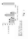 Fig. 02 - COMPOSITIONS AND METHODS TO STIMULATE VASCULAR STRUCTURE FORMATION