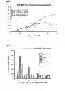 Fig. 07 - HUMANIZED ANTI-EGFL7 ANTIBODIES AND METHODS USING SAME