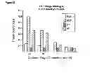Fig. 22 - HUMANIZED ANTI-EGFL7 ANTIBODIES AND METHODS USING SAME